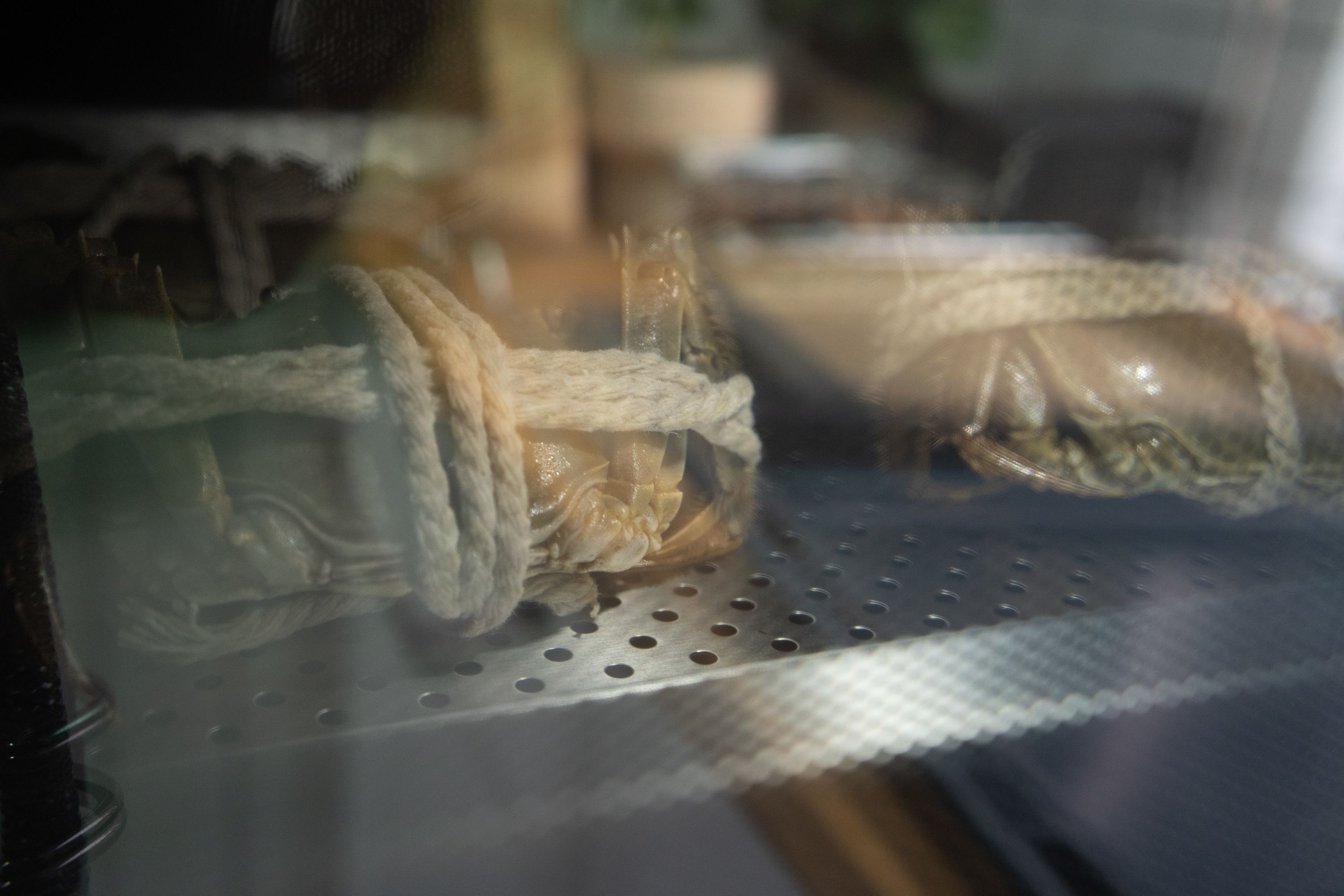 美的F5微蒸烤一体机使用,美的微蒸烤一体机205c使用教程