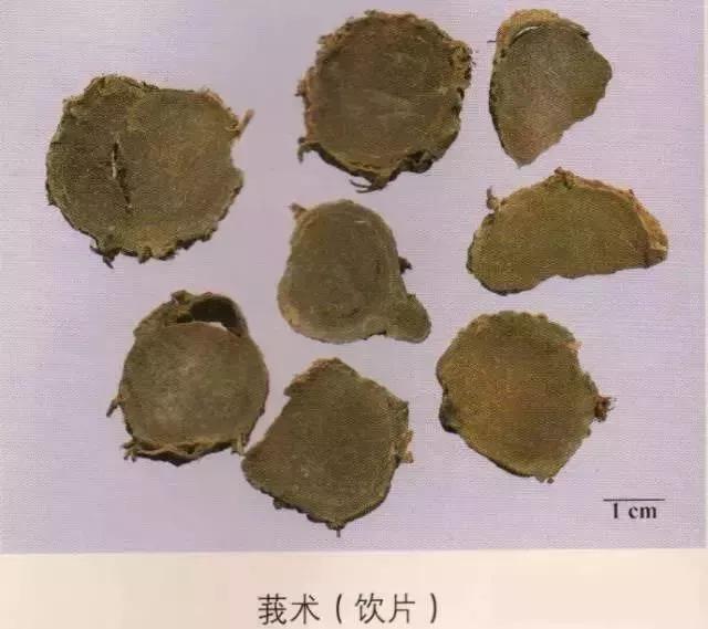 中药材图片大全大图带药名,200多味中药材图谱带图