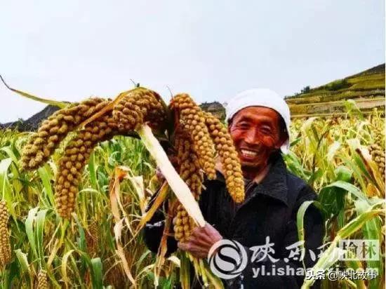 总有人问我如何统一回复,有人问我怎么了我怎么回复