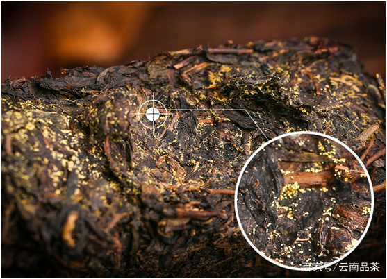 湖南安化黑茶靠不靠谱,安化黑茶质量问题