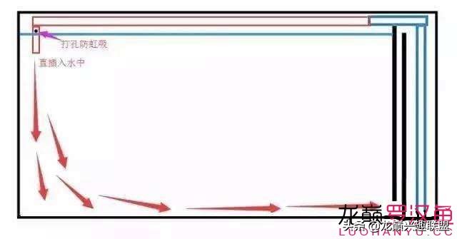 鱼缸噪音太吵怎么解决,鱼缸过滤器为什么噪音越来越大声