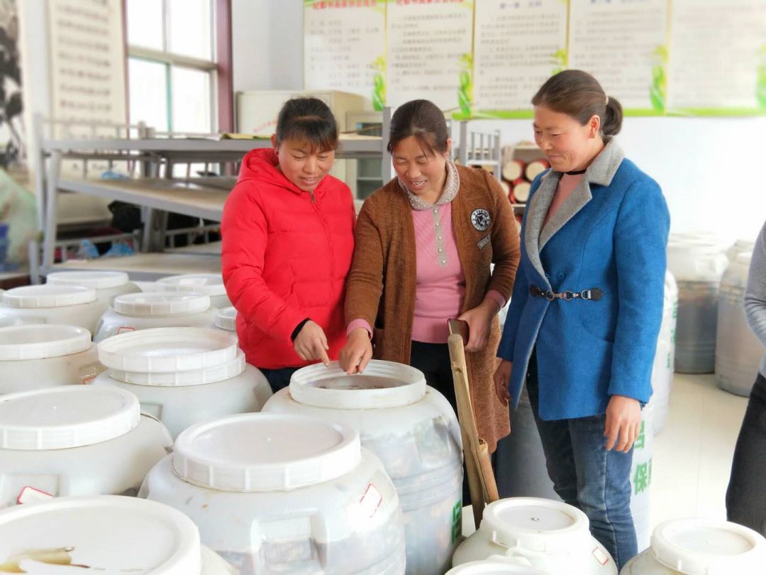 寿光这种“垃圾”火大了!它让纪台吕一村的全体菜农如获至宝