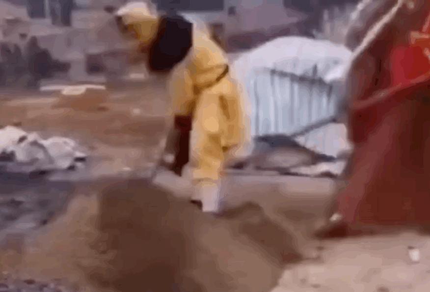 刚从后院挖出来的,大家帮我鉴定一下,我是不是要发财了?