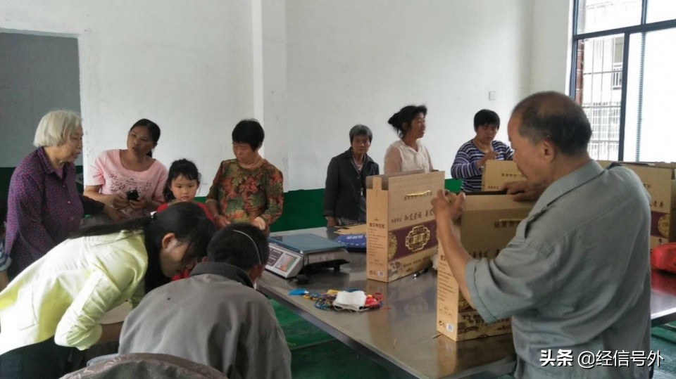 艾草直播助农,湖南乡村振兴直播助农