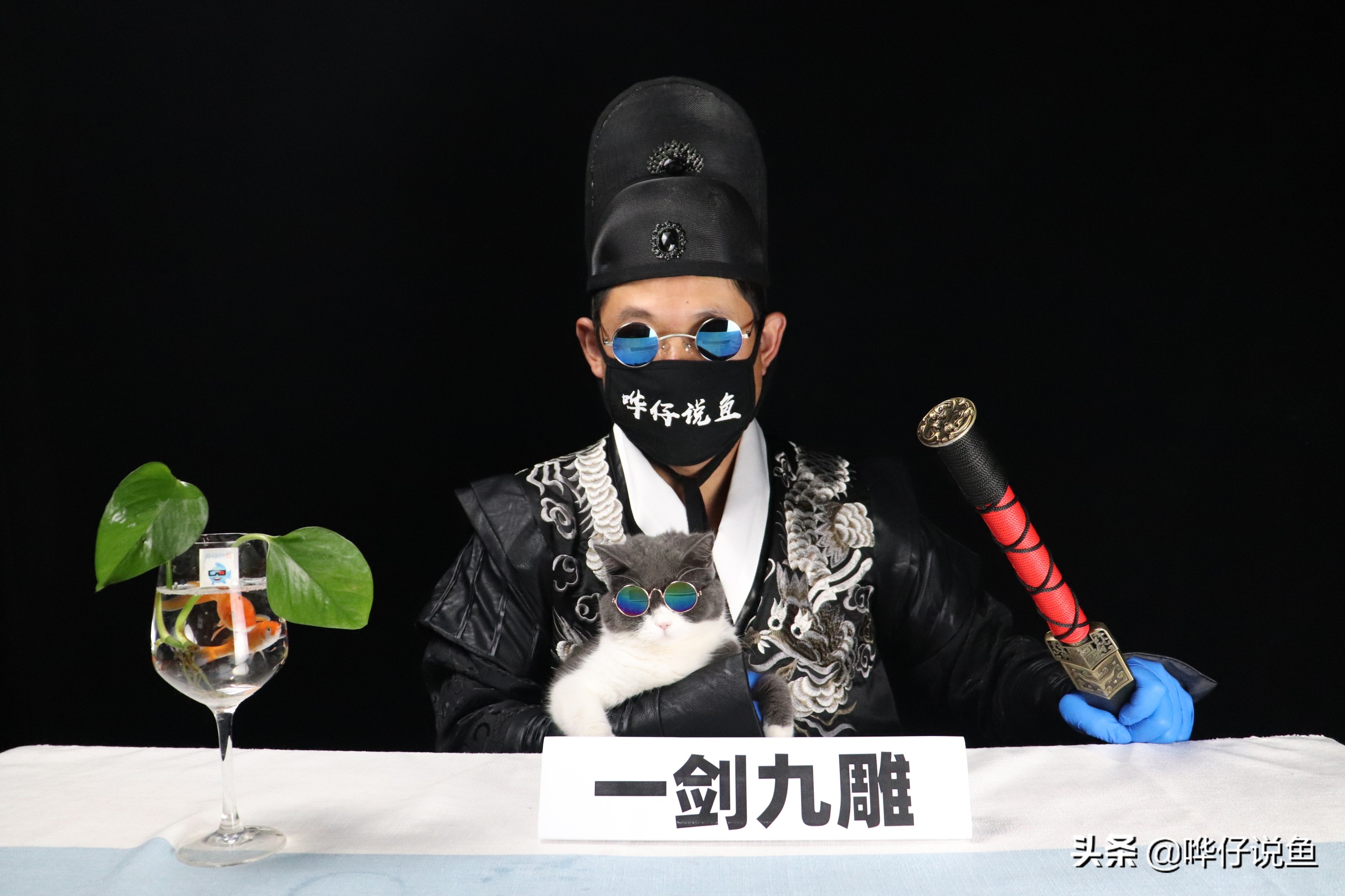 什么是一剑九雕养鱼法？一边偷懒一边养观赏鱼，其实是有套路的