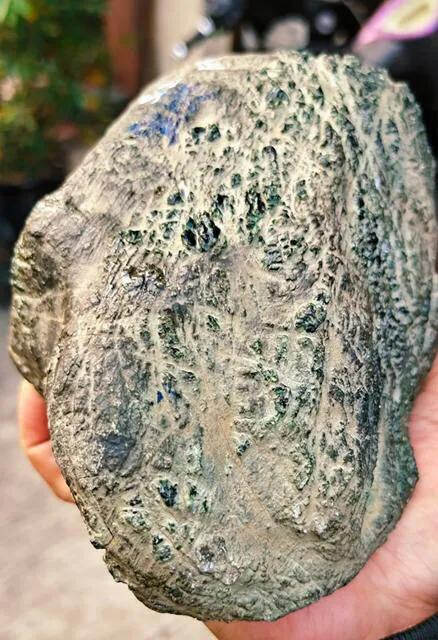 莫西沙象皮真品图片,莫西沙老象皮有冰晶