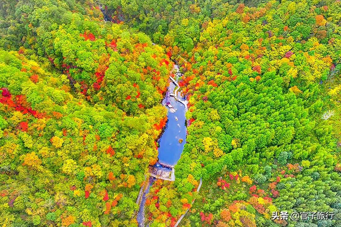 中华枫叶之路自驾游攻略,中华枫叶大道自驾游路线