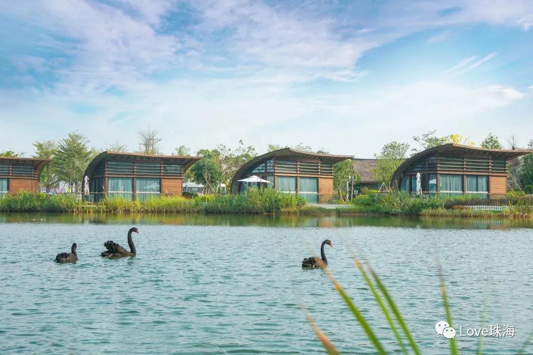 珠海长隆海洋王国五一开门吗,珠海五一旅游景区