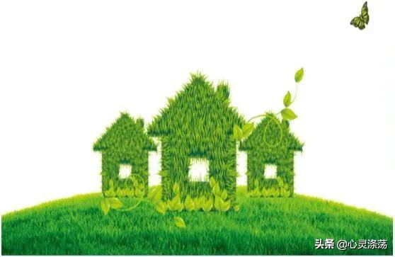 我的游戏人生,我的游戏人生经历