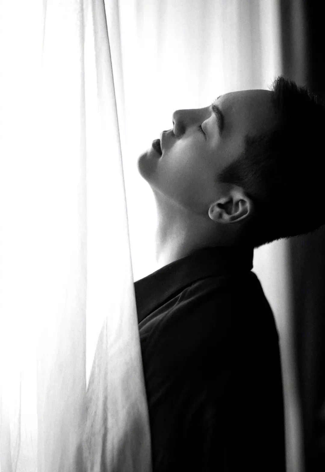 野狼disco陈伟霆张艺兴2019年完整版,野狼disco很土吗