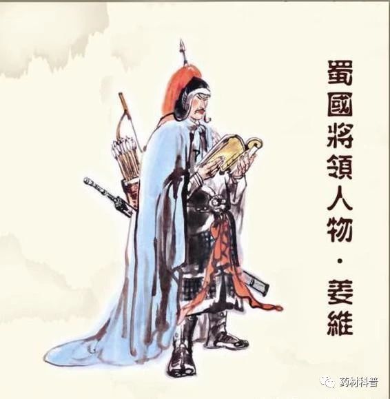 当归禁忌有哪些,当归的十大禁忌