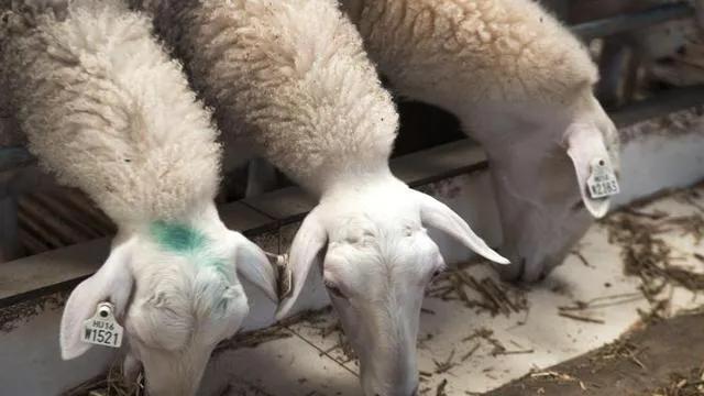 印象甘肃视频,印象甘肃乡村美景