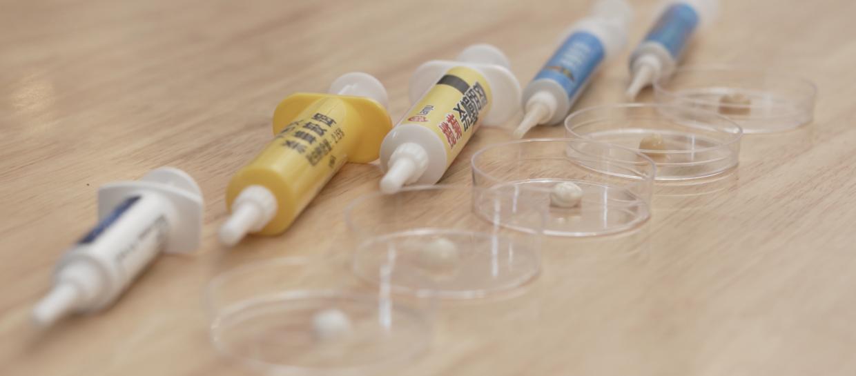 家中厨房蟑螂多怎么消除,家中有蟑螂怎么一网打尽