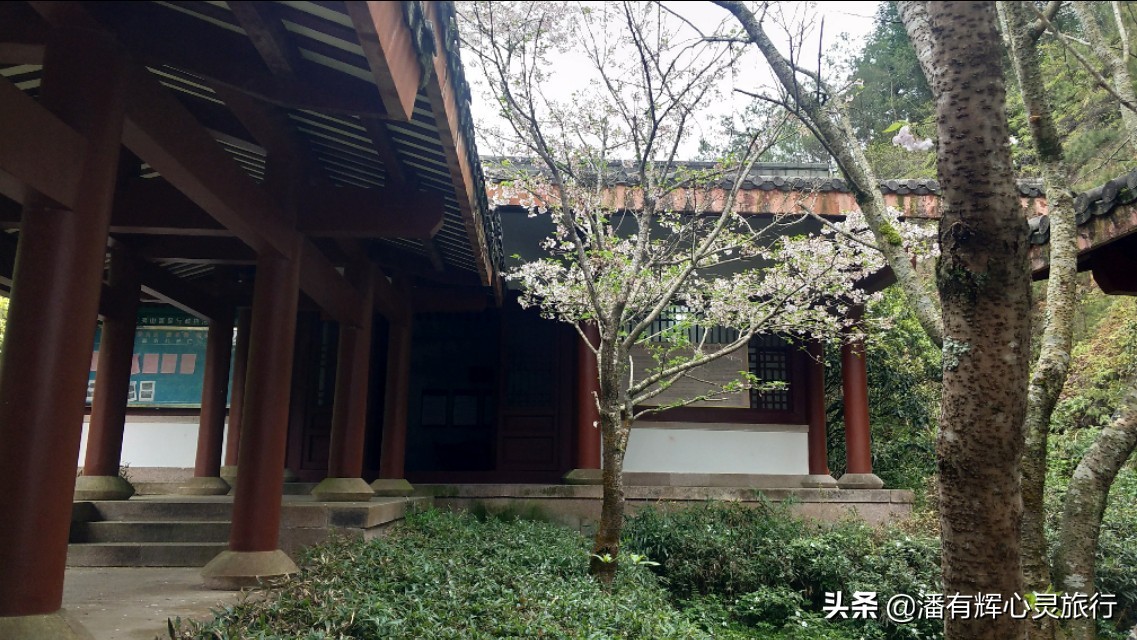 徒步第76天，做主播到现在有些粉丝不喜欢给我刷网上的礼物