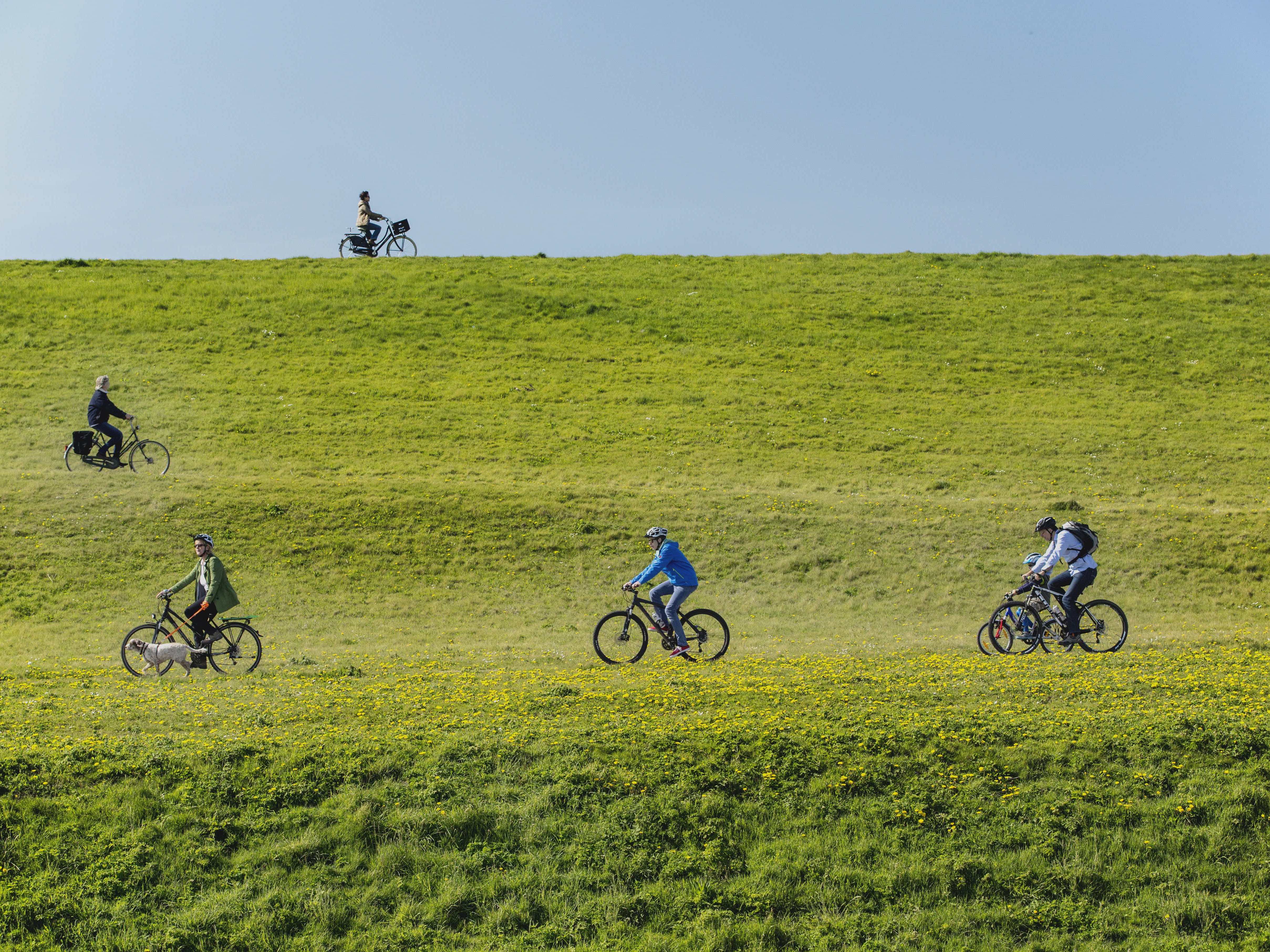 骑行荷兰,荷兰旅行攻略旅游线路怎么走