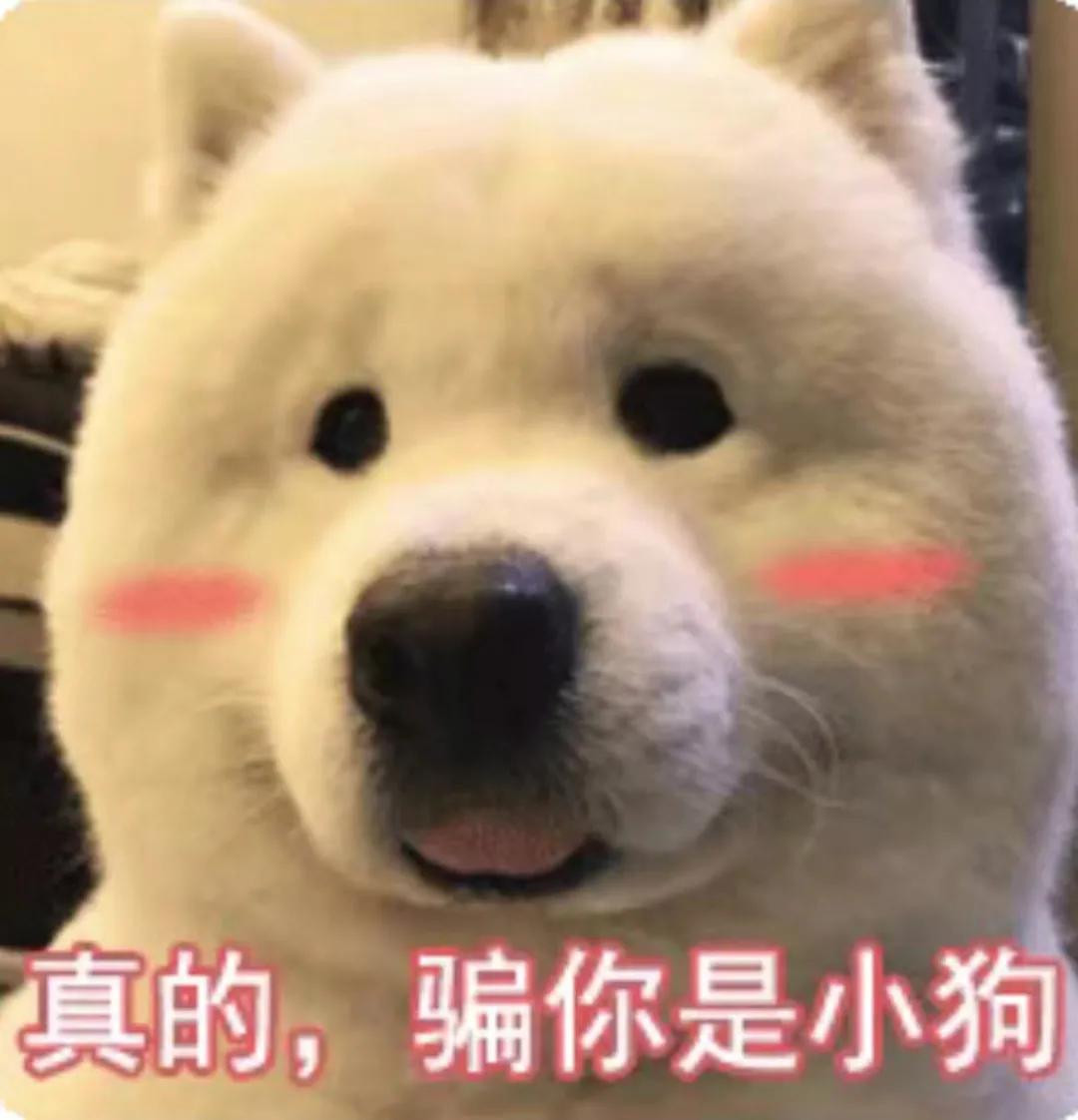 西工大校园招聘信息,西工大校园招聘