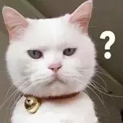 德国留学签证办理流程全攻略,留学秘籍