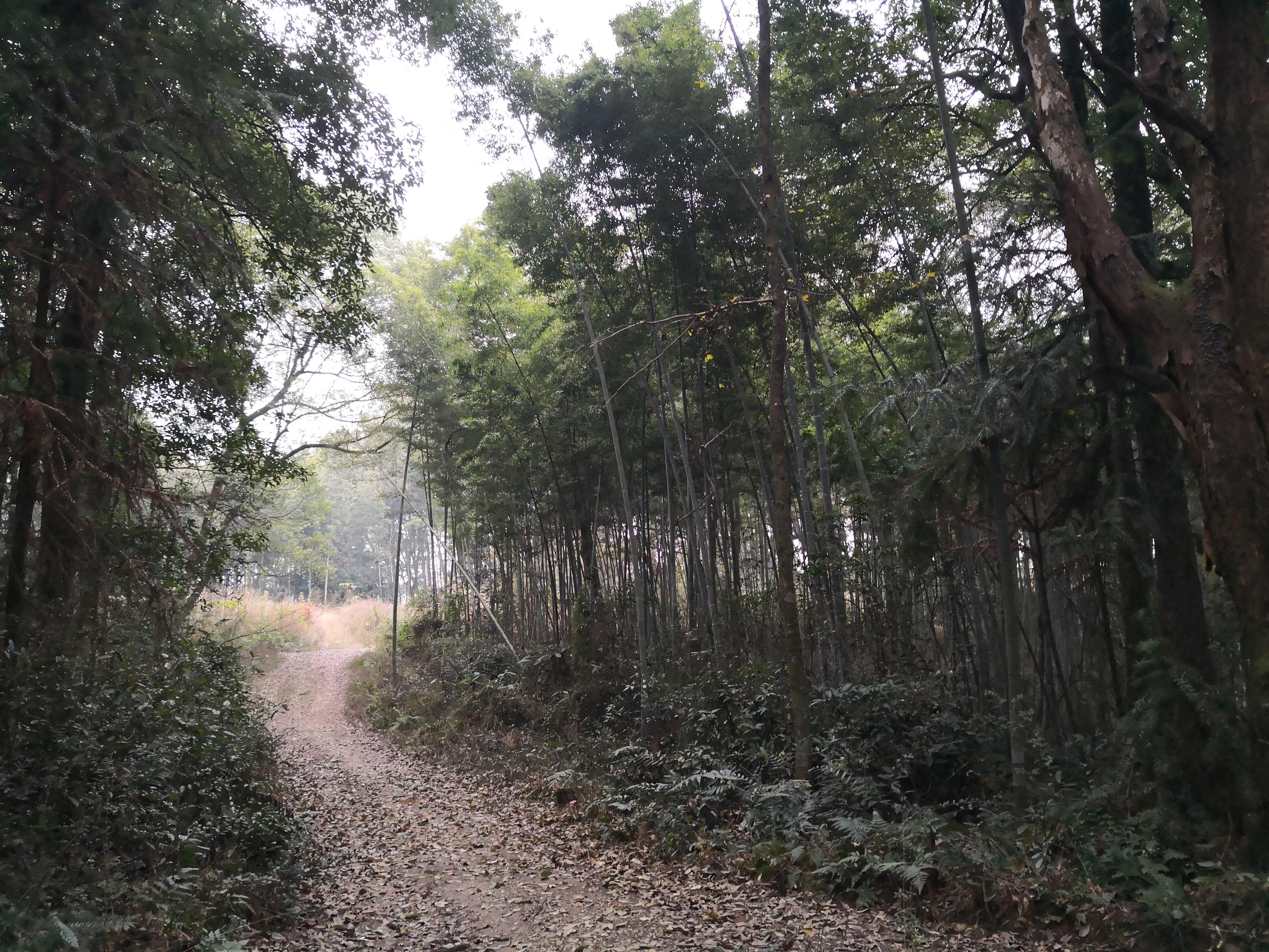 治疗，在你们家乡话中怎么说？（“闲话方言词”之74）