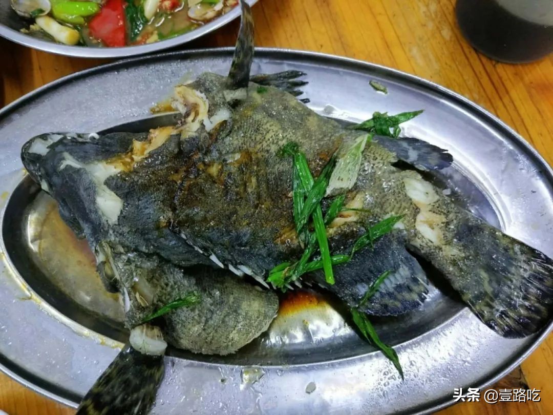 北海|报告!没遇到传销组织,只有吃不尽的海鲜美食