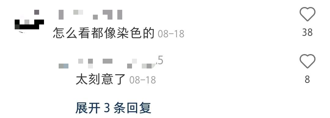 全球罕见足球猫冲上热搜,网友:指定染色!结果......哈哈哈哈