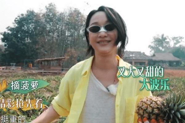 向往的生活女嘉宾合集,向往的生活女嘉宾唱的歌