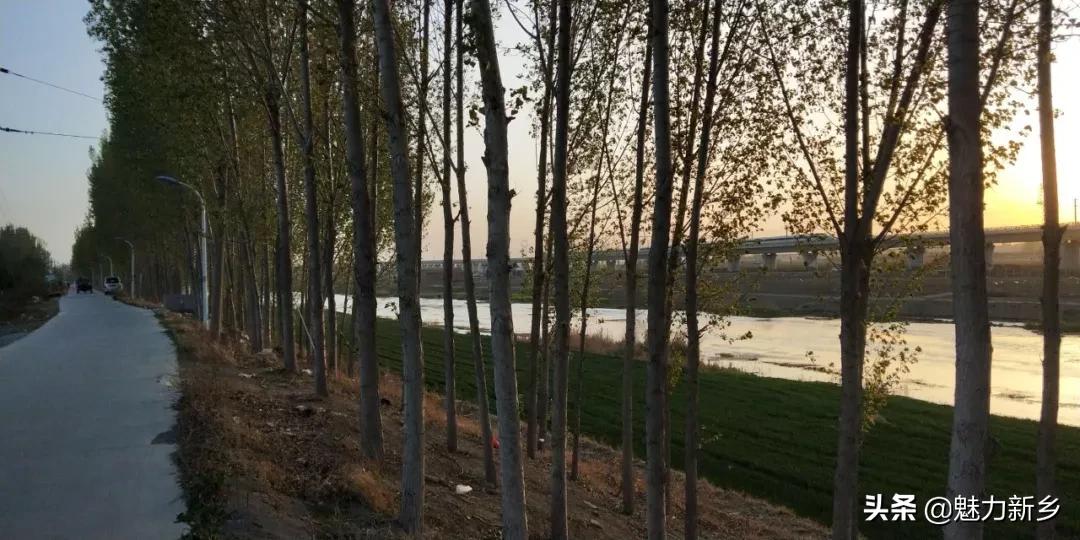 河南新乡故事视频大全,新乡故事大全