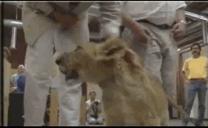 狮子王动画片1994原版深度解读,学了三年动画还原狮子王