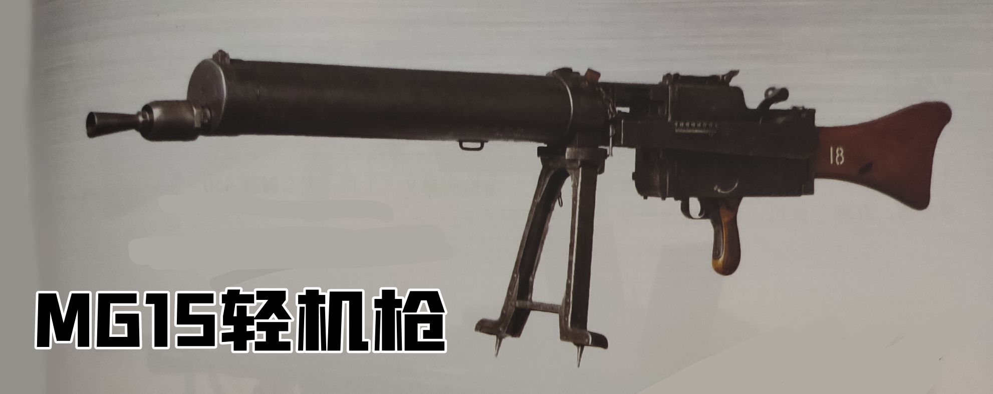 英国枪史图册全篇,德国枪图片