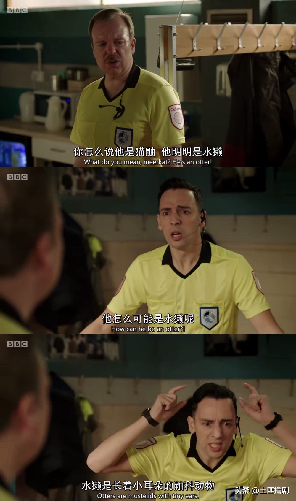 王者归来第一季只有八集吗,喜大普奔全集完整版