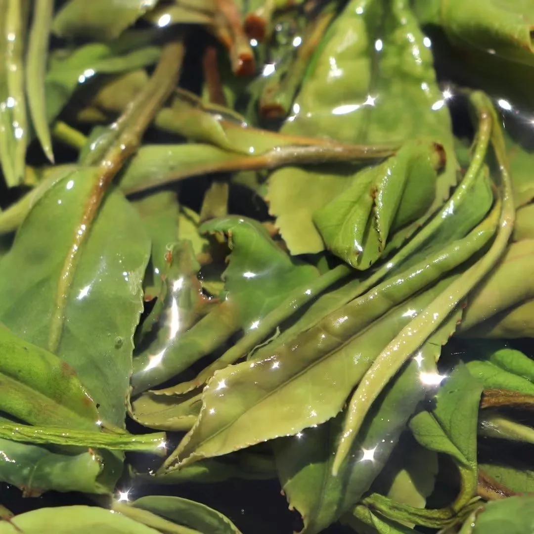 夏季祛暑吃什么养生茶好,小暑养生大全