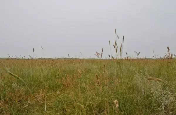 生僻字是抖音什么时候火的,抖音最火生僻字怎么唱