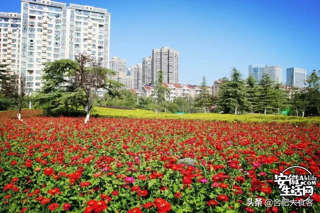 2020年，在这50个地方遇见不一样的合肥