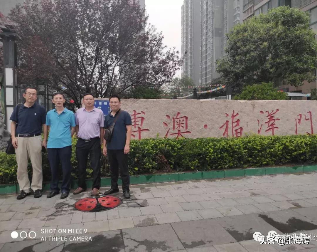 赞!旧貌换新颜,只因小区有了业主大会