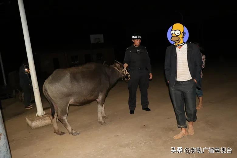 交警解救被拐卖妇女,民警解救被拐卖少女