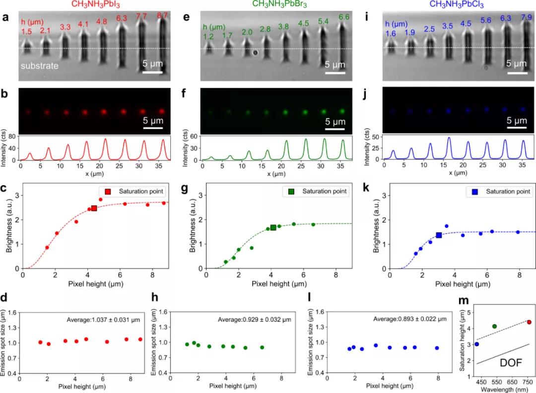 香港大学钙钛矿,香港大学磁共振成像