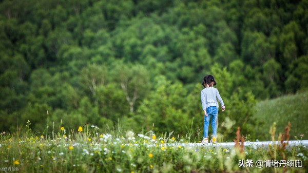 门头沟避暑景点推荐,柳树沟自然风景区旅游攻略