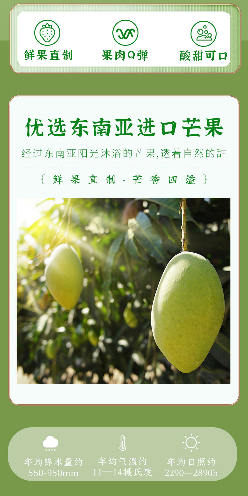 在芒也不放弃，时刻陪伴！芒果干果脯蜜饯OEM