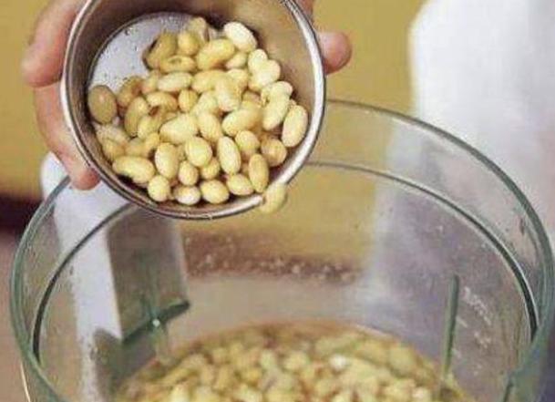 绿萝怎样施肥可以枝繁叶茂,绿萝施肥绿萝怎么养才能更旺盛