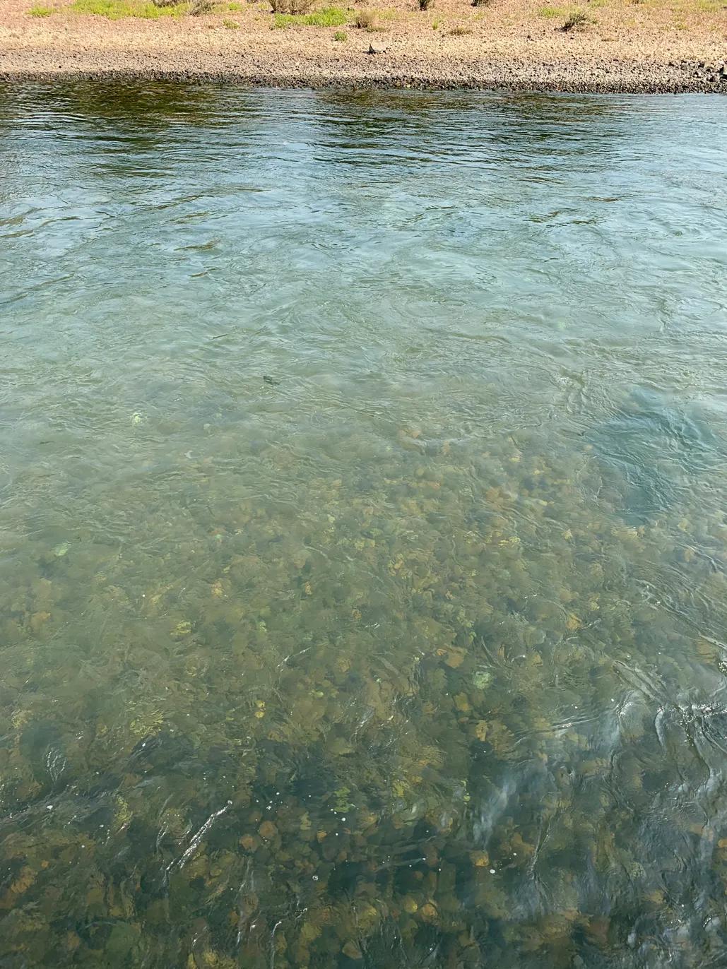 最火的小说男频题材排行,2019年男频小说排行榜前十