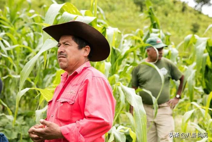 *品毒**战争背后的商业秘密：价格博弈、人力资源、特许经营