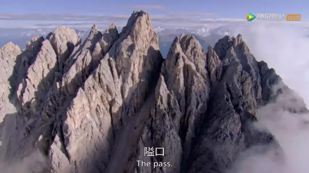 人在逆境要懂得坚持,面对逆境向阳而生