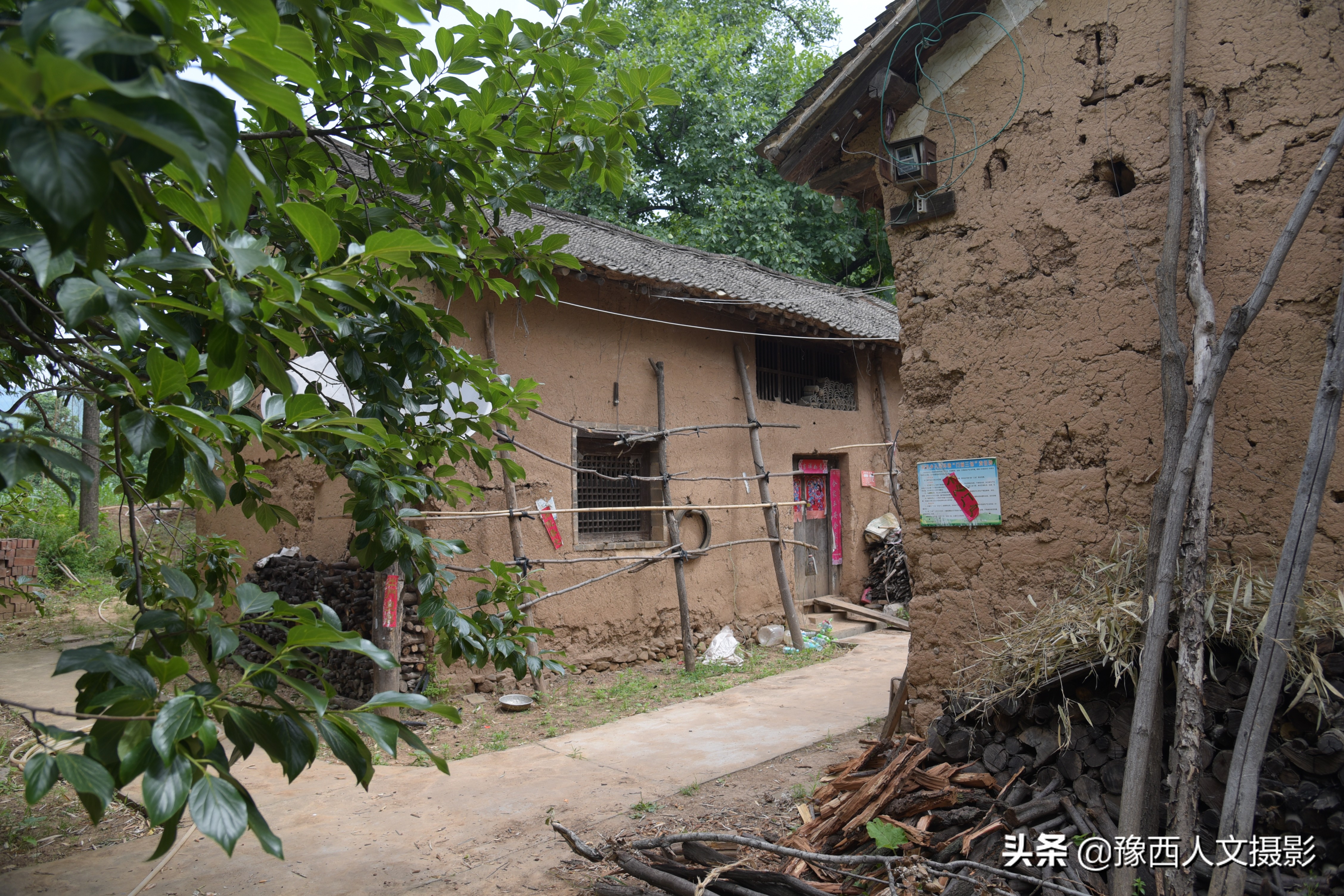 山里父亲10年前为儿子打算，藏一囤小麦两桶黄豆，娶媳妇却没用上