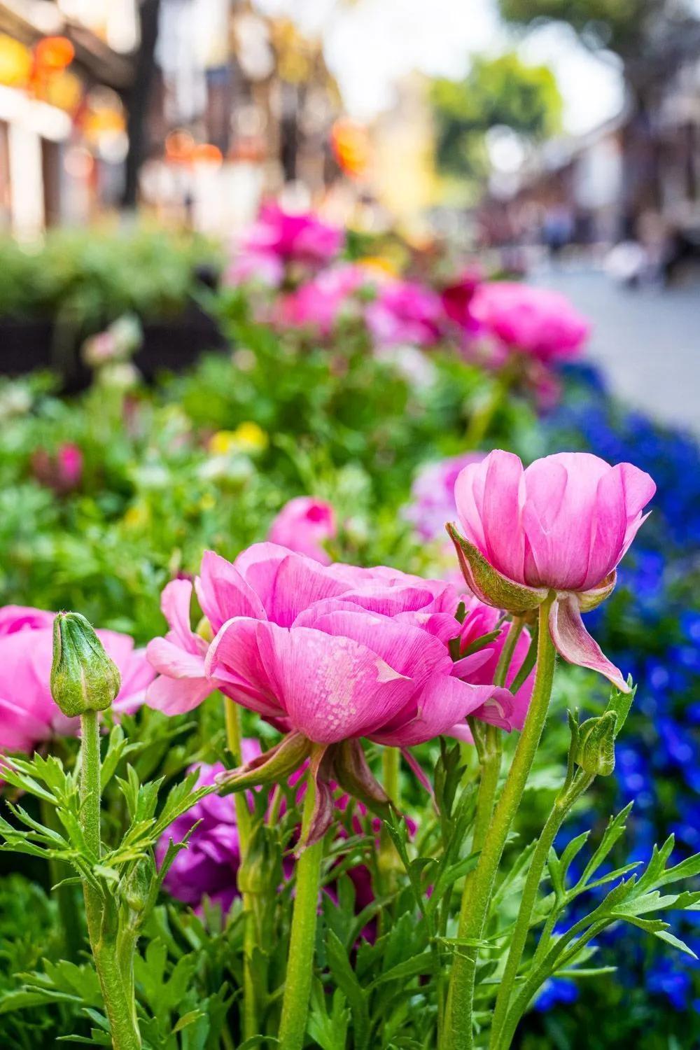 瞧!这花花世界谁不爱