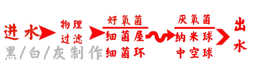 水草造景过滤教程,水草造景怎么过滤