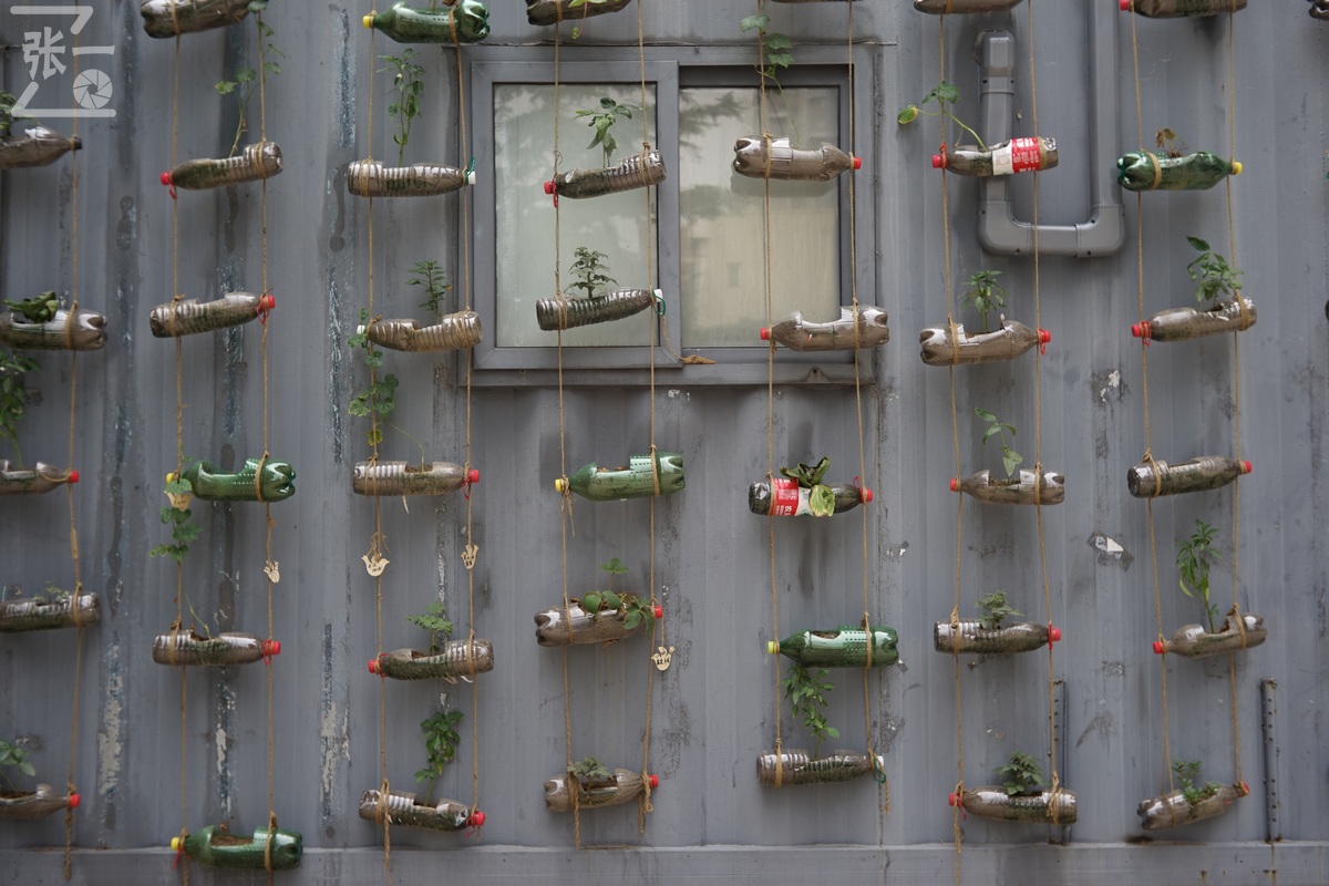 适合索尼a7m4的50定焦镜头测评,索尼a7m4镜头24-105f4测评