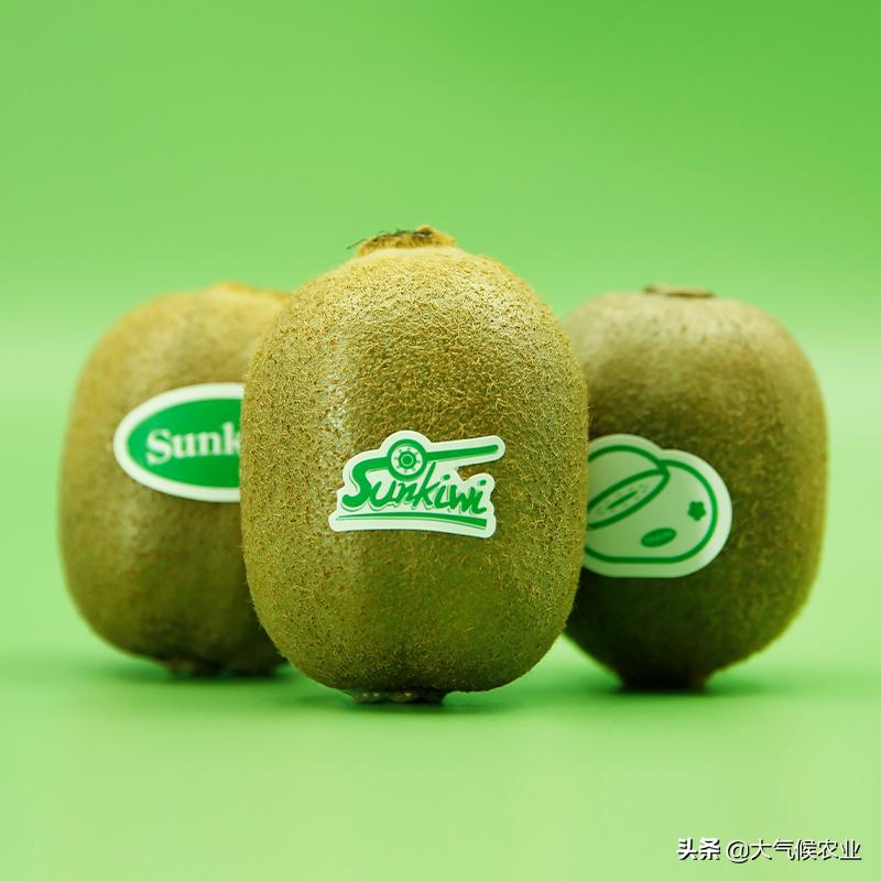 眉县猕猴桃合作社名单,眉县猕猴桃专业合作社