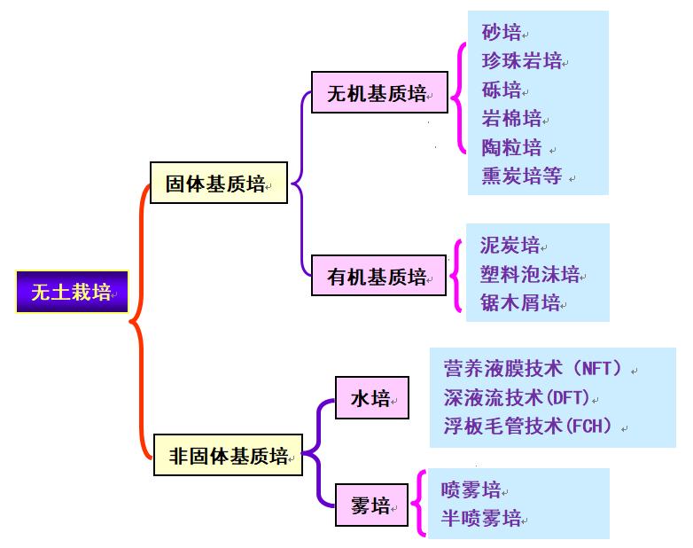 无土栽培蔬菜投资成本,无土栽培设备制作方法