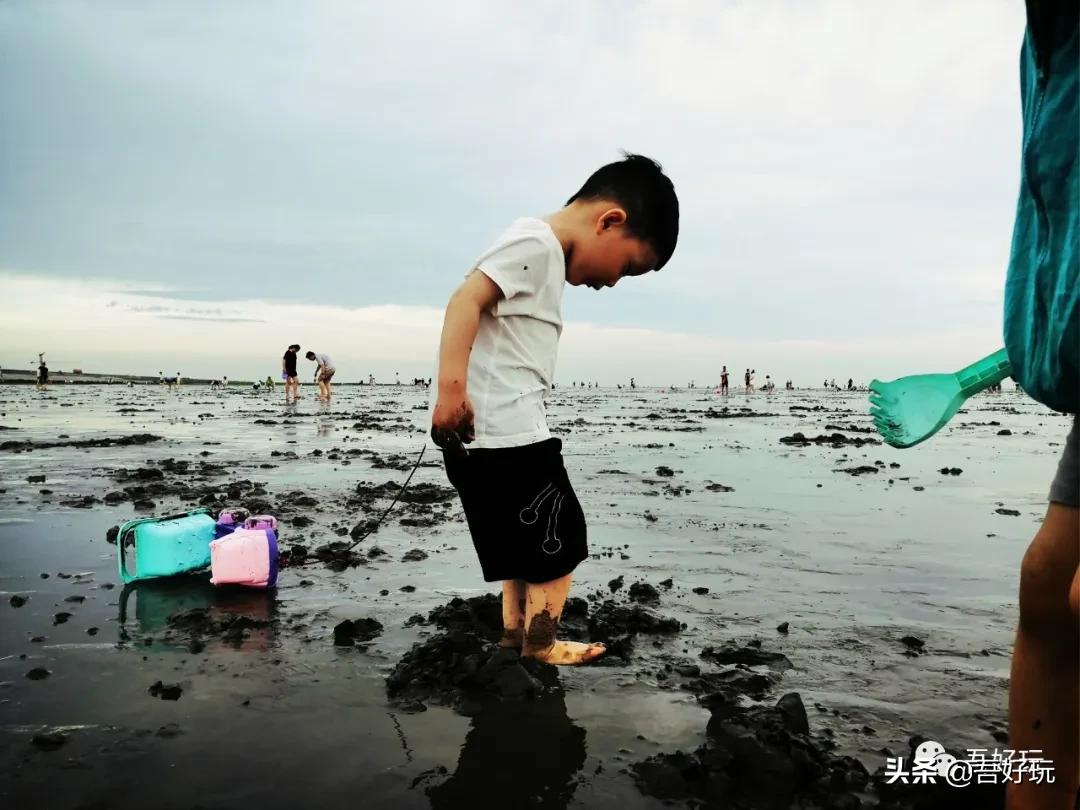 遛娃|南汇新城海滩，魔都夏日必打卡？