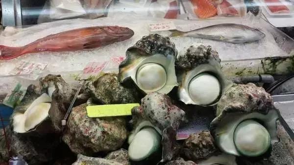 12月旅游日本冲绳最全攻略,春回大地旅游攻略