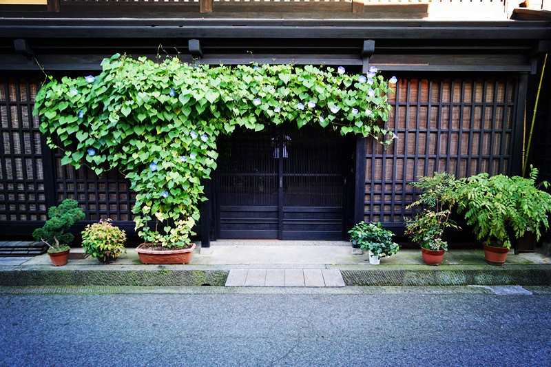 五天四夜日本邮轮游,名古屋四日自由行攻略